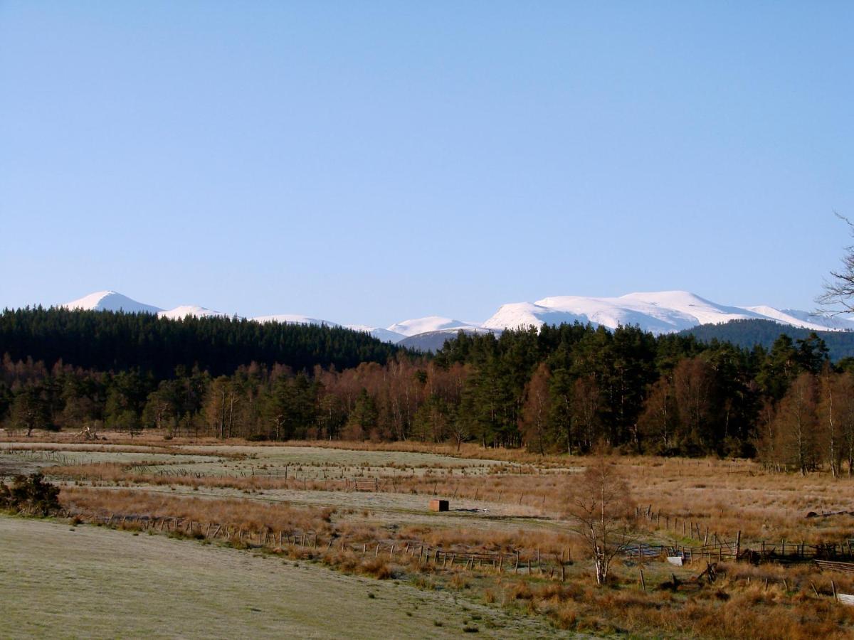 The Dell Of Abernethy - A Woodland Hideaway Apartment เนธีบริดจ์ ภายนอก รูปภาพ
